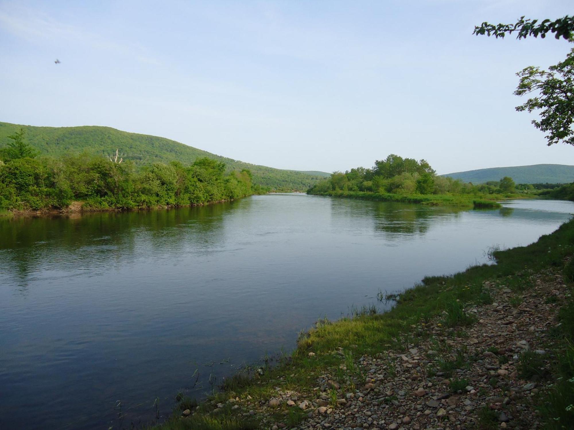 Cajun Cedar Log Cottages Margaree Forks Luaran gambar