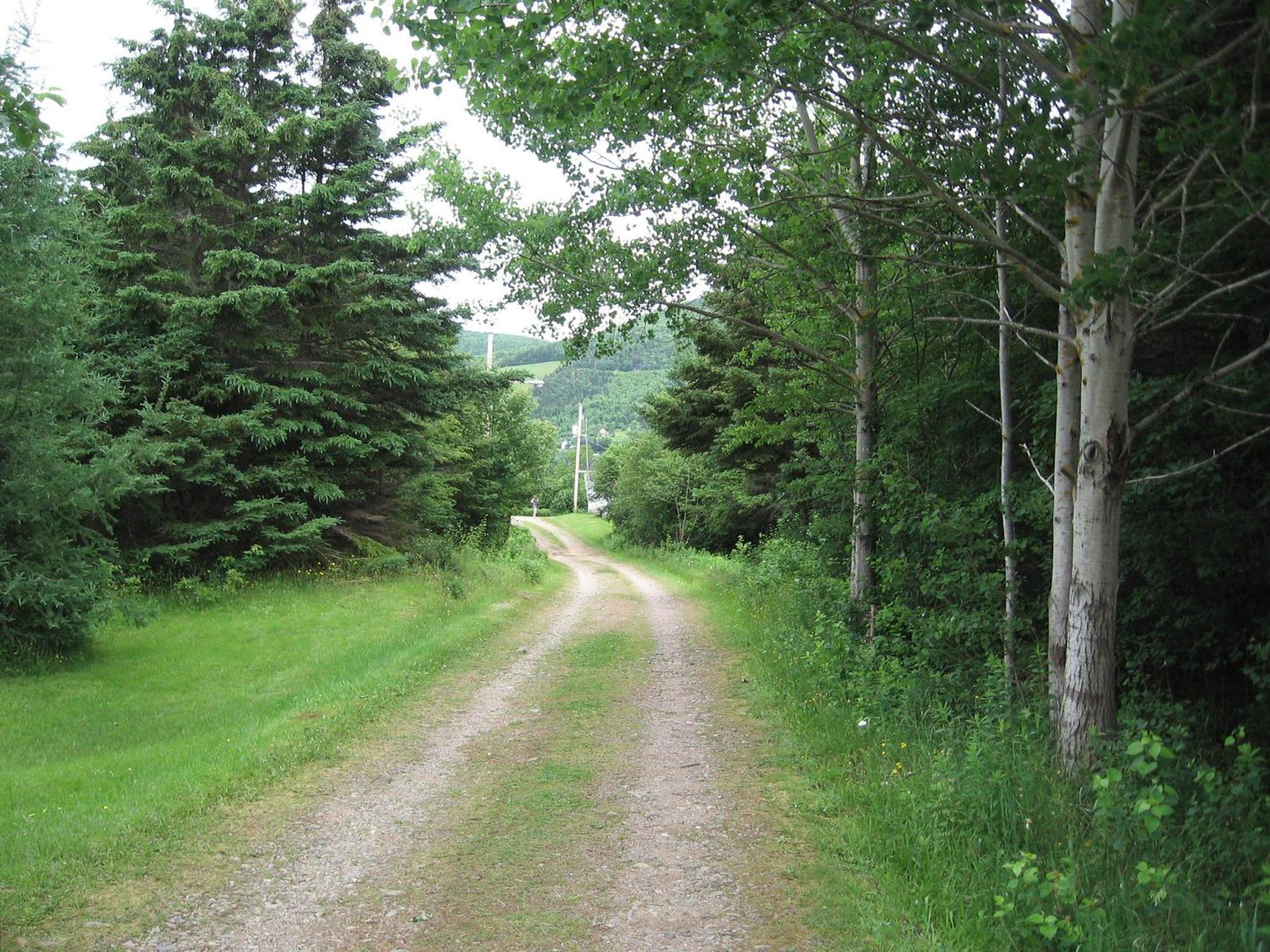 Cajun Cedar Log Cottages Margaree Forks Luaran gambar