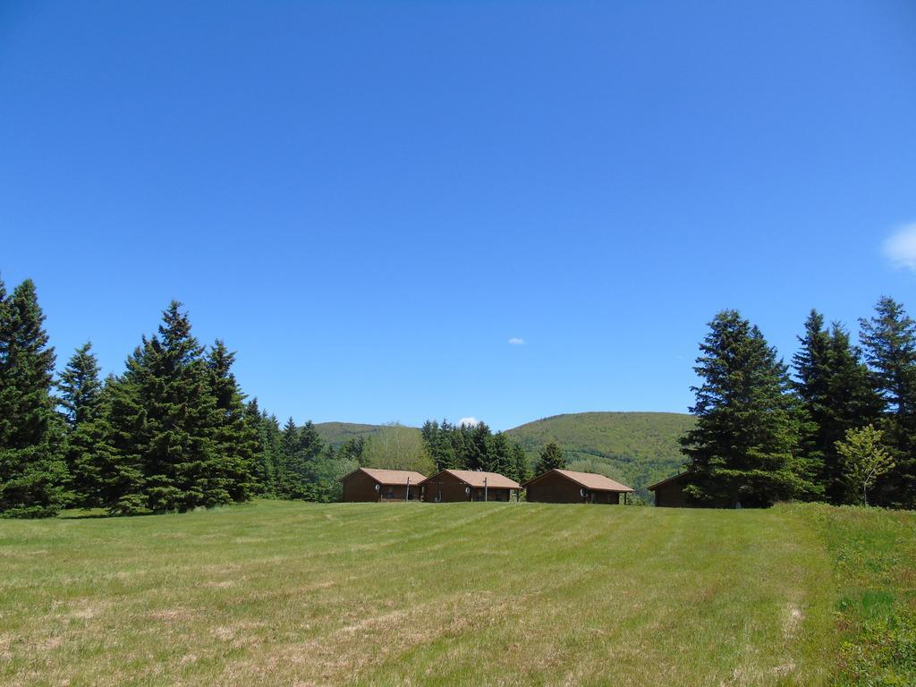 Cajun Cedar Log Cottages Margaree Forks Luaran gambar