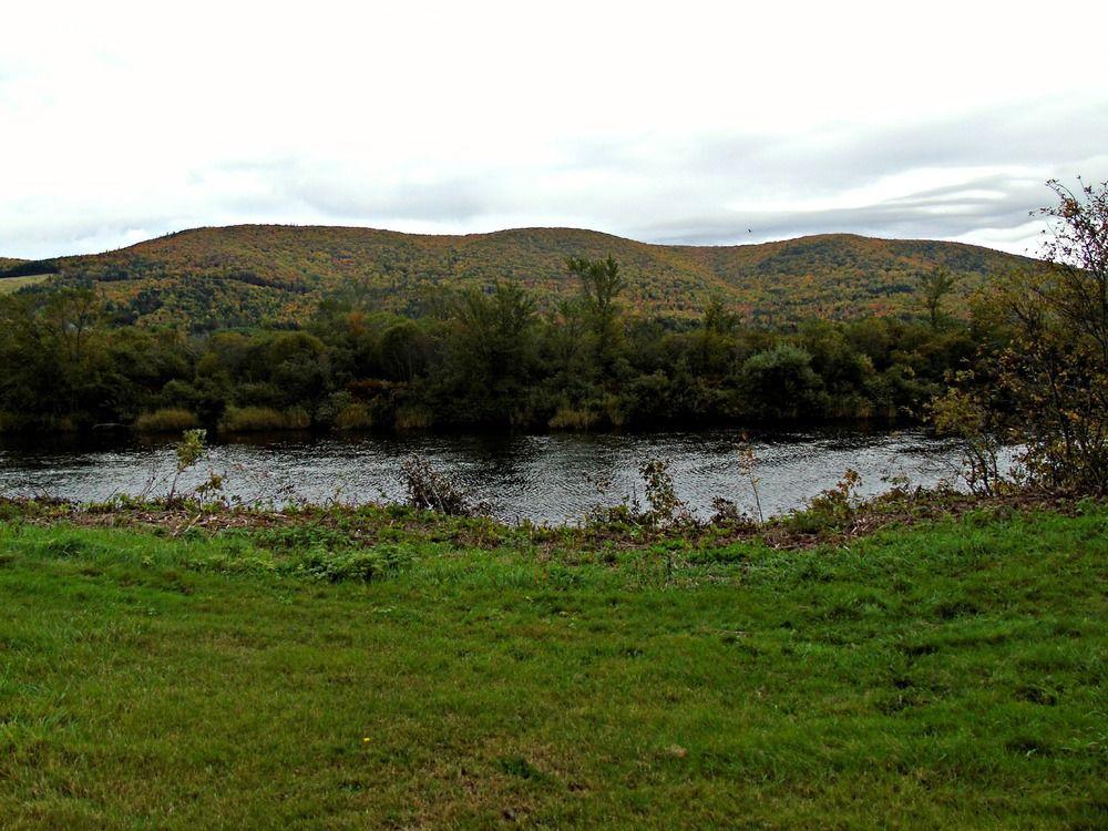 Cajun Cedar Log Cottages Margaree Forks Luaran gambar