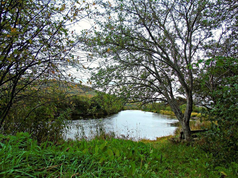 Cajun Cedar Log Cottages Margaree Forks Luaran gambar