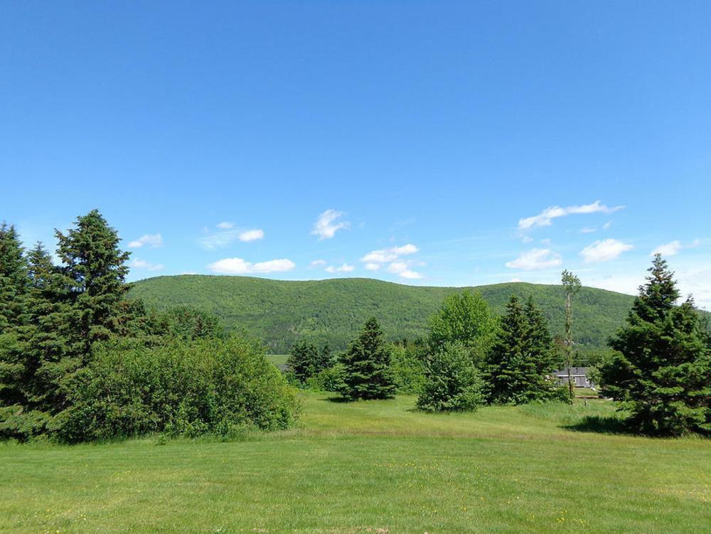 Cajun Cedar Log Cottages Margaree Forks Luaran gambar