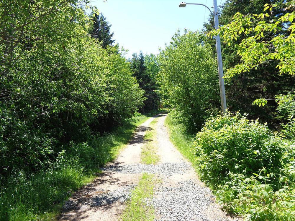 Cajun Cedar Log Cottages Margaree Forks Luaran gambar