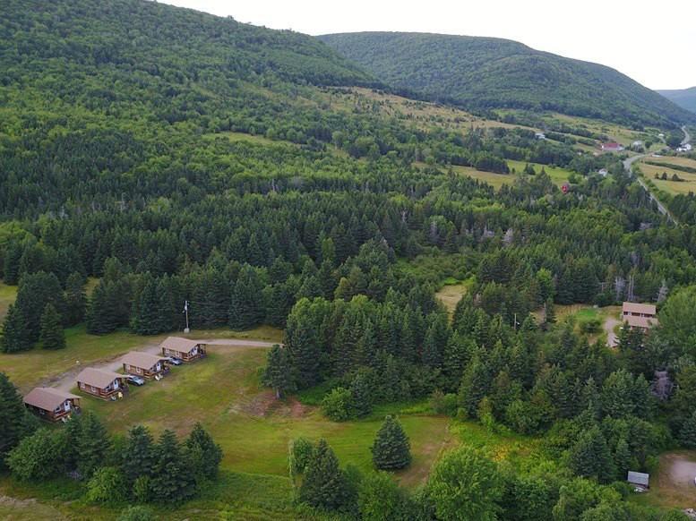 Cajun Cedar Log Cottages Margaree Forks Luaran gambar