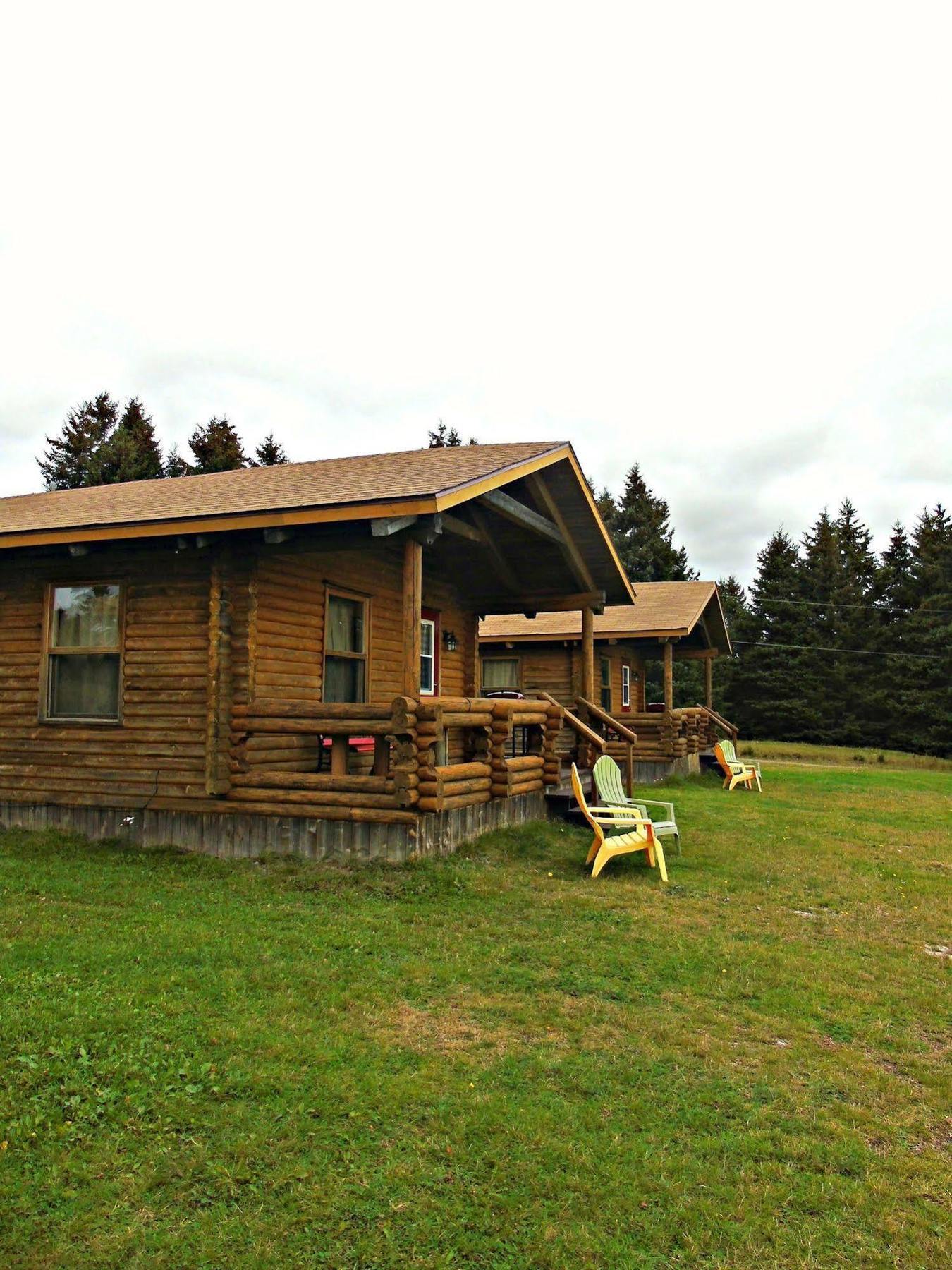 Cajun Cedar Log Cottages Margaree Forks Luaran gambar