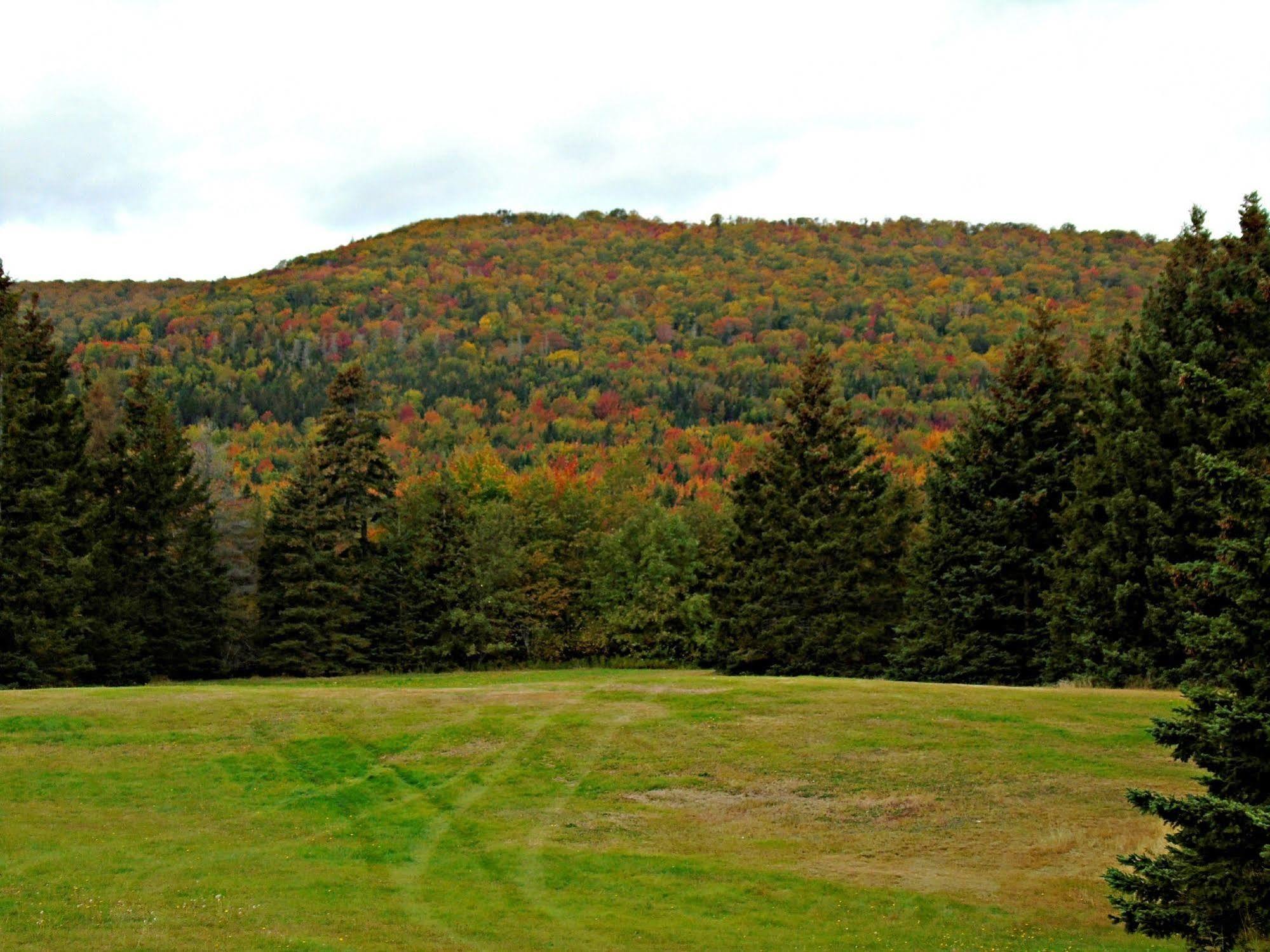 Cajun Cedar Log Cottages Margaree Forks Luaran gambar